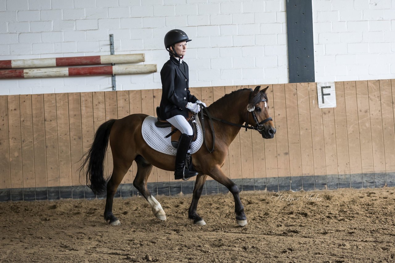 Bild 16 - Pony Akademie Turnier